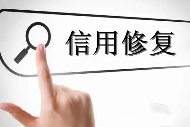 政府项目扶持